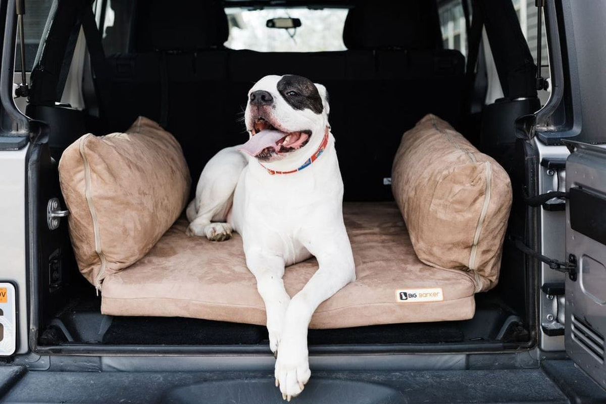 Easy Rider SUV Dog Bed