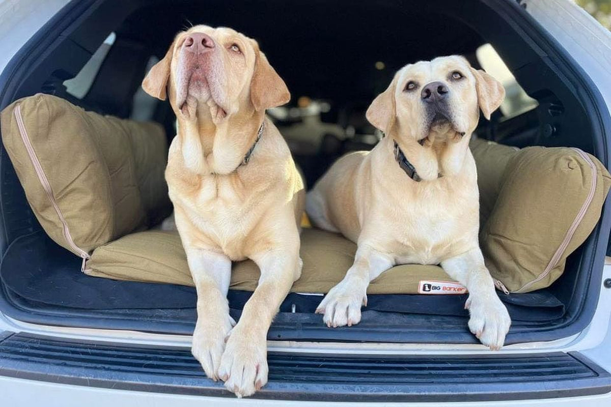 Easy Rider SUV Dog Bed