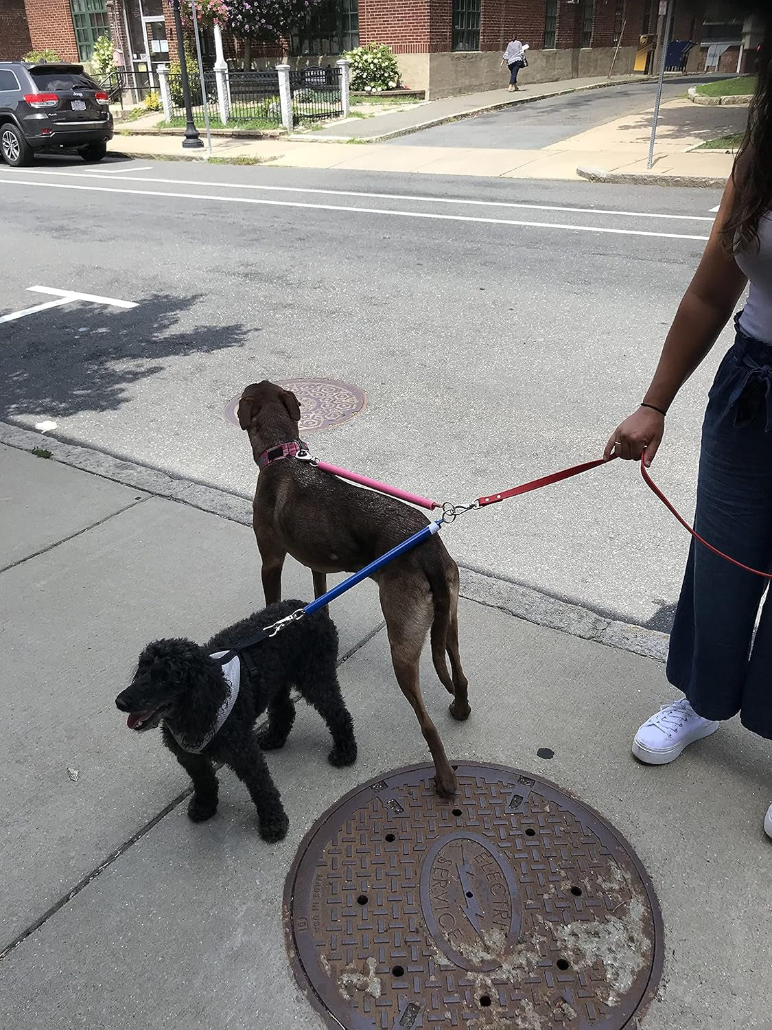 - Dual Dog Leash- NO Tangle Multiple Walker (Orange)